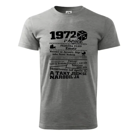 1972 v kostce