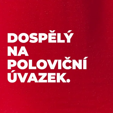 DOSPĚLÝ NA POLOVIČNÍ ÚVAZEK.