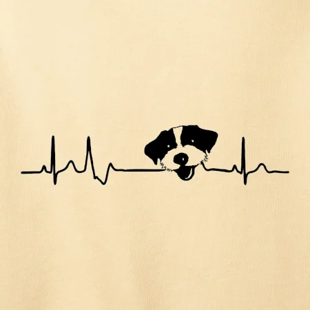 Jack Russell Terriér hrubosrstý Ekg