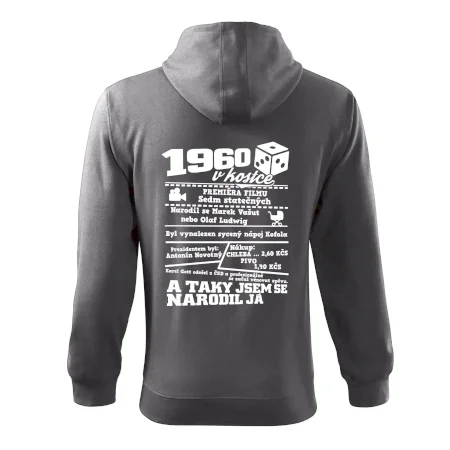 1960 v kostce