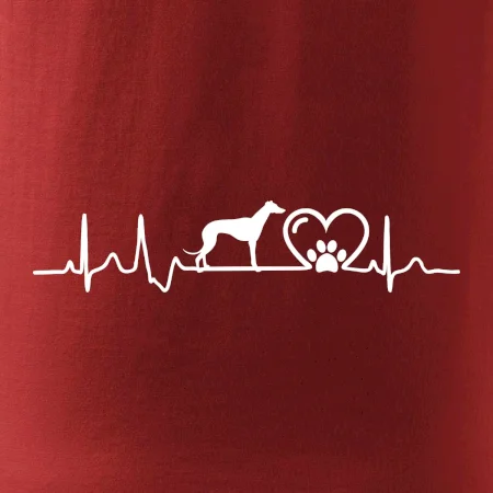 Chrt - Ekg