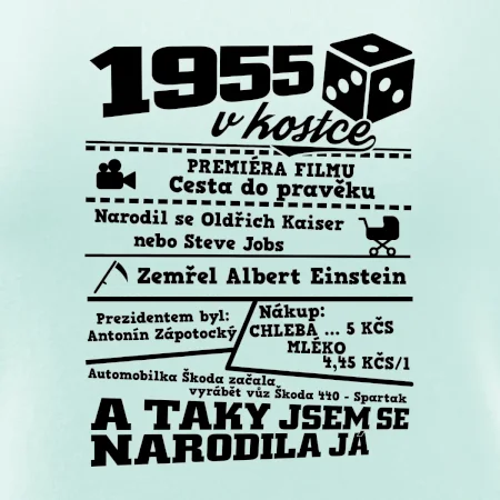 1955 v kostce