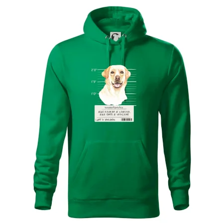 Lump a darebák labrador