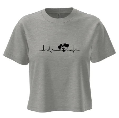 Jack Russell Terriér hrubosrstý Ekg