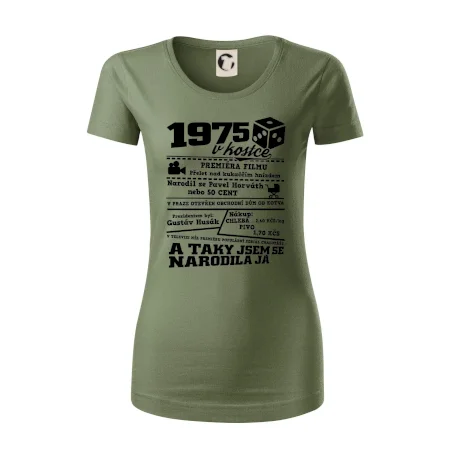 1975 v kostce