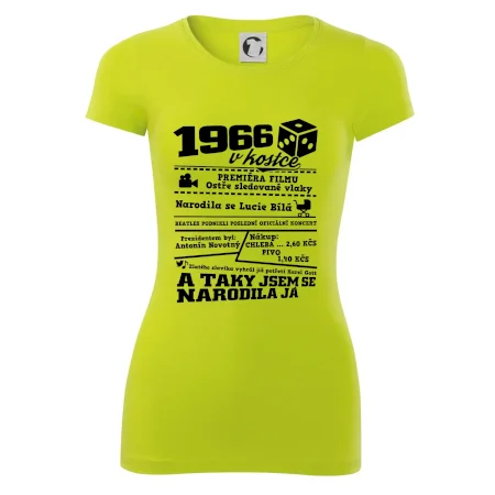 1966 v kostce