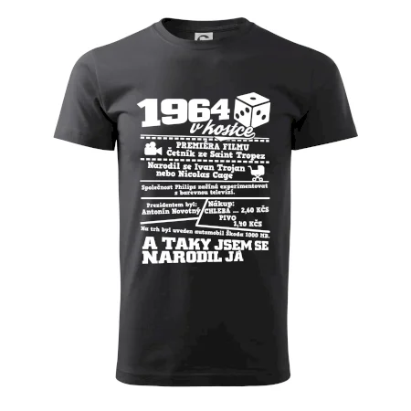 1964 v kostce