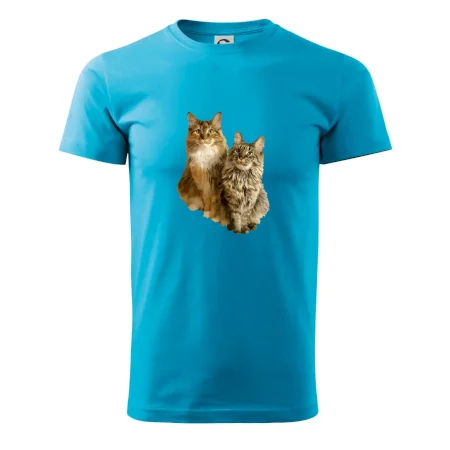 Kočky vectorizované  (Moňas)