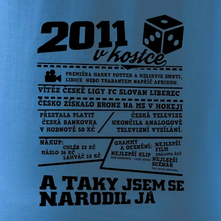 2011 v kostce
