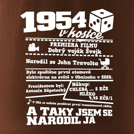 1954 v kostce