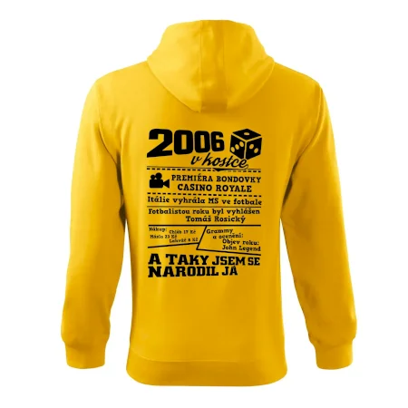 2006 v kostce