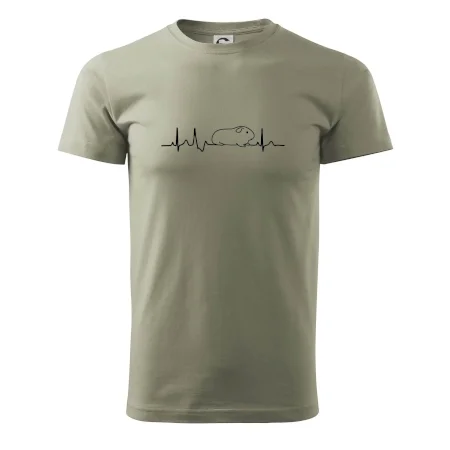 EKG morče