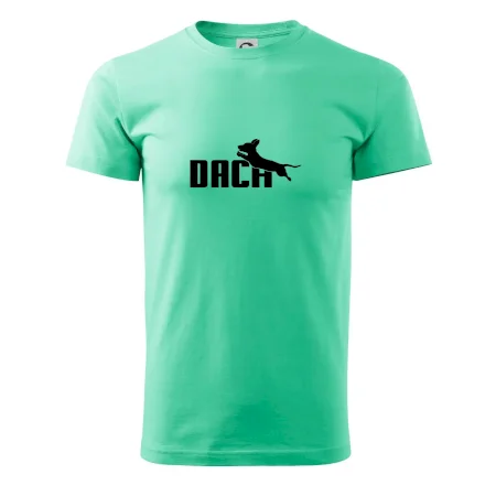 Jezevčík Dach