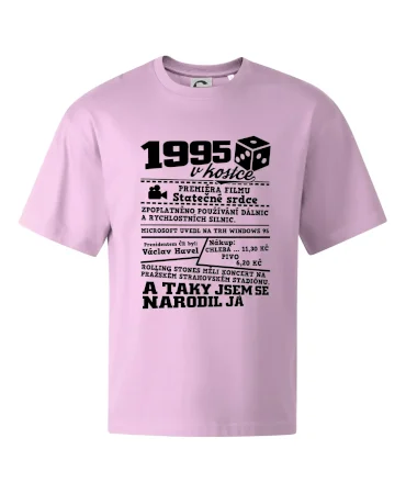 1995 v kostce