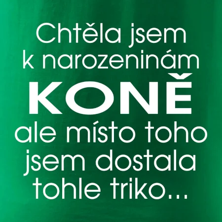 Chtěla jsem dostat k narozeninám koně