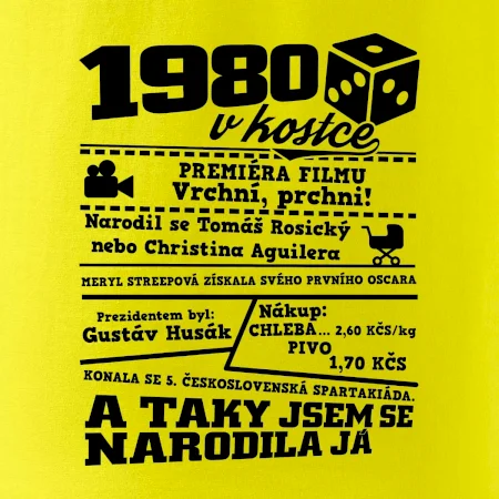 1980 v kostce