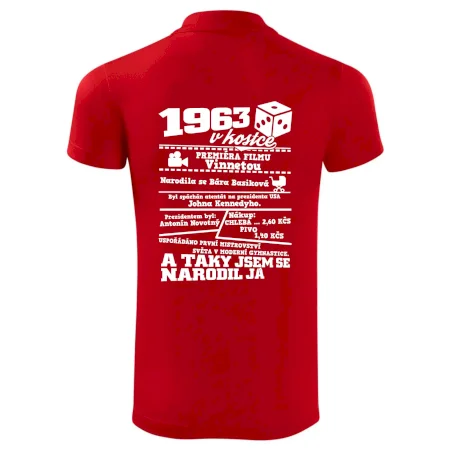 1963 v kostce