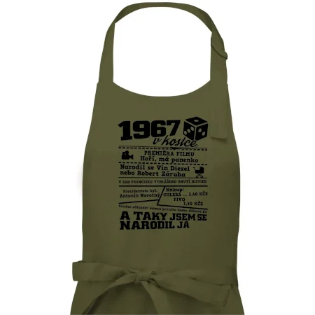 1967 v kostce