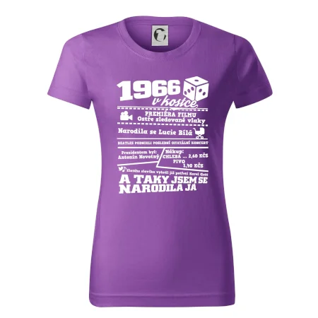 1966 v kostce