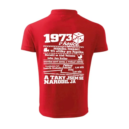 1973 v kostce
