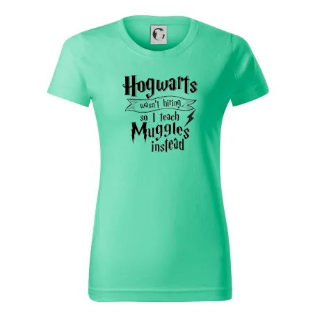 Harry - Hogwarts wasn’t hiring, so I teach Muggles instead