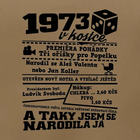 1973 v kostce