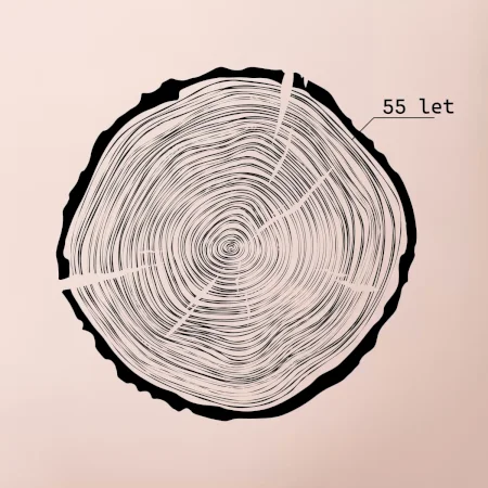 Letokruhy - 55