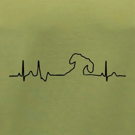 Jezevčík EKG