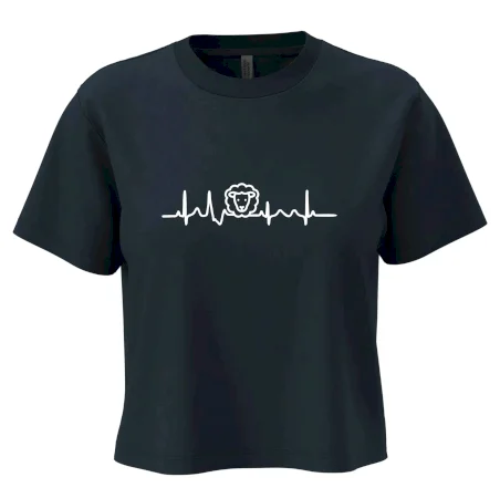 Ekg ovce