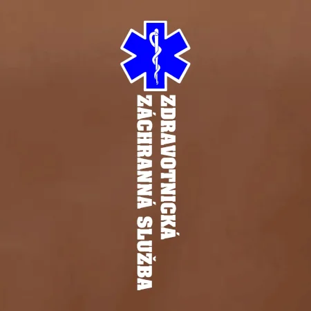Hvězda života - zdravotnická záchranná služba