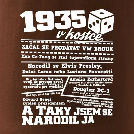1935 v kostce
