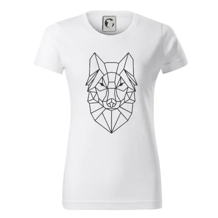 Geometrie - vlk