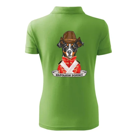 Napoleon domácí pes kříženec