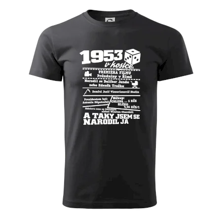 1953 v kostce