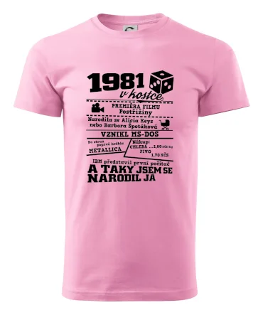 1981 v kostce