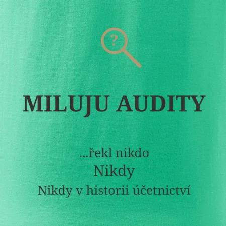 Miluju audity řekl nikdo nikdy