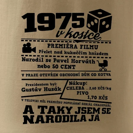 1975 v kostce
