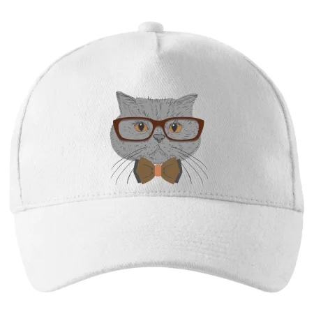 Hipster britská modrá