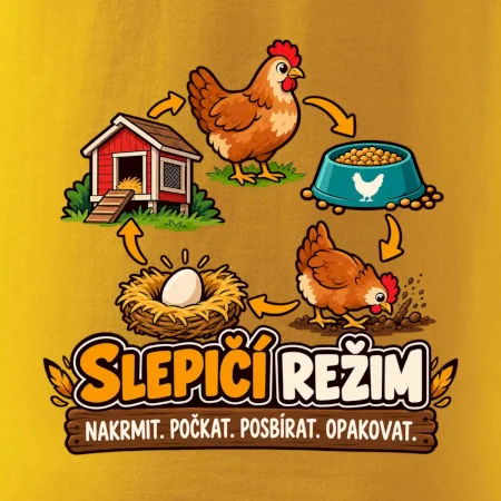 Slepičí režim od krmení po sběr vajec