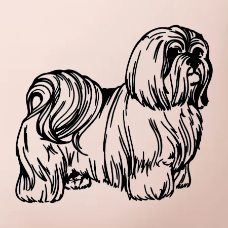 Shih-tzu - chlupatý