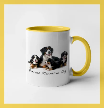 Bernese mountain dog celá rodina