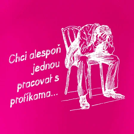 Chci alespoň jednou pracovat s profíkama