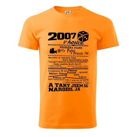 2007 v kostce
