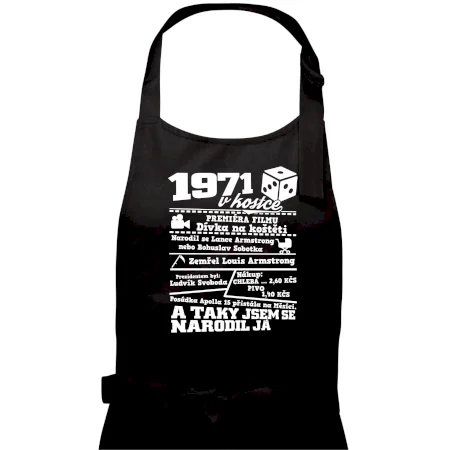 1971 v kostce