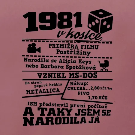 1981 v kostce