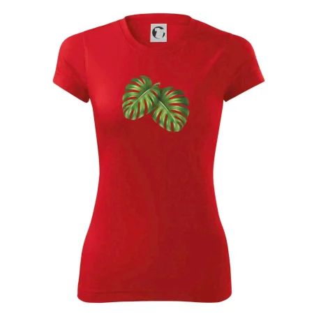 Monstera - dva listy