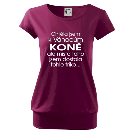 Chtěla jsem k Vánocům koně