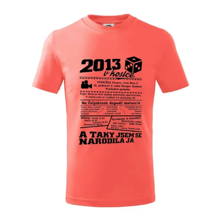 2013 v kostce