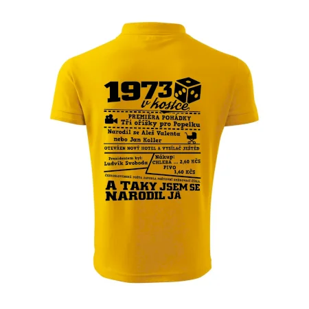 1973 v kostce