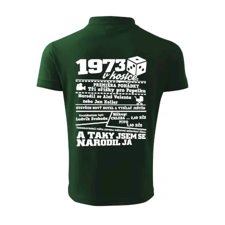 1973 v kostce